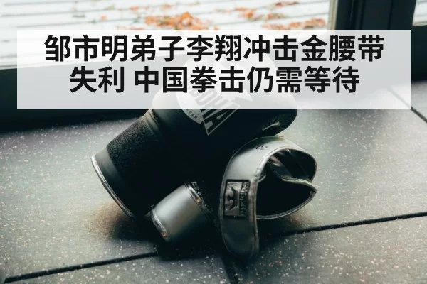 邹市明弟子李翔冲击金腰带失利 中国拳击仍需等待